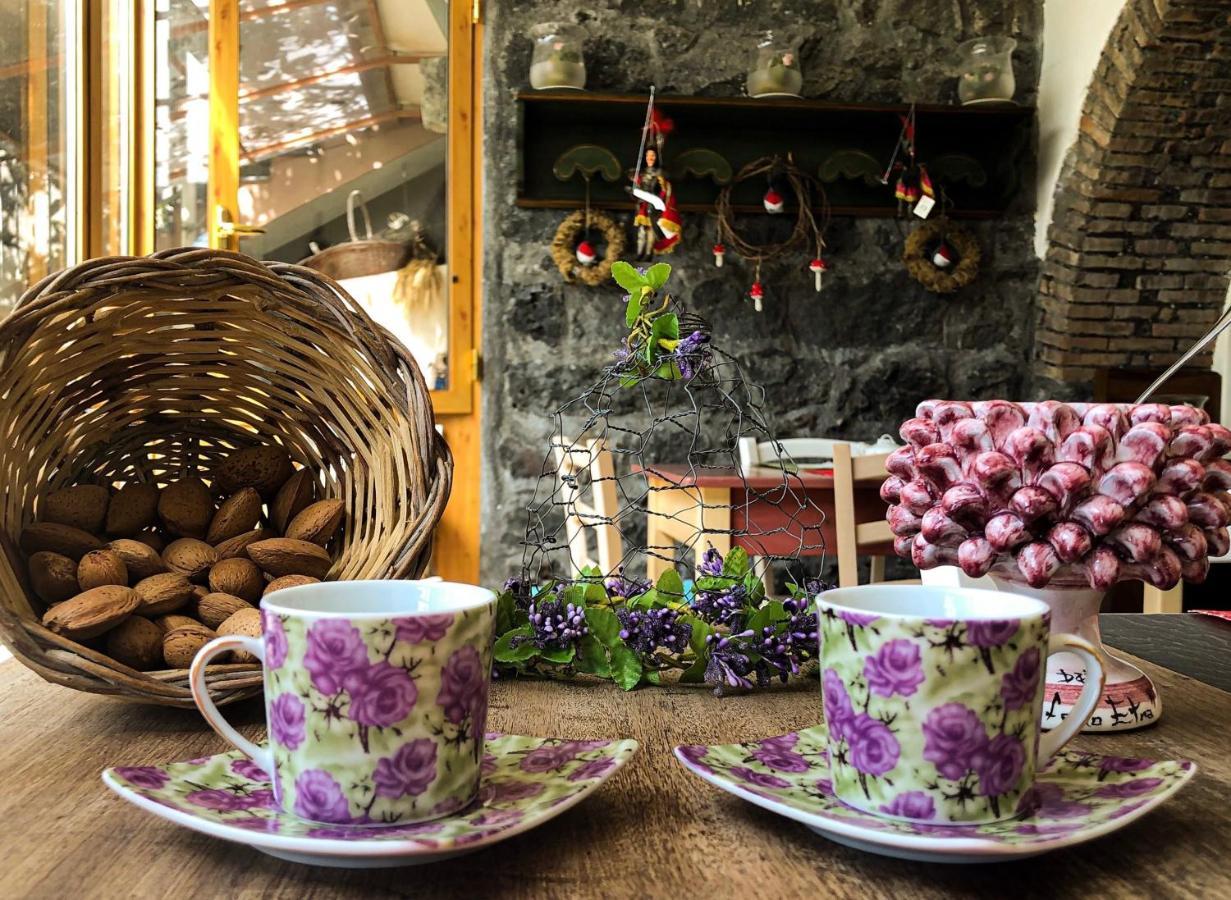 Polifemo Etna Bed & Breakfast